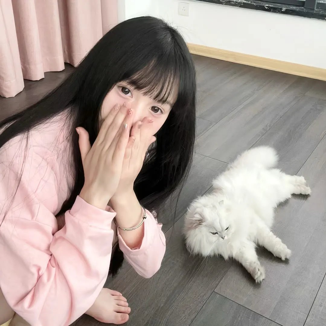 秘密战队五连者